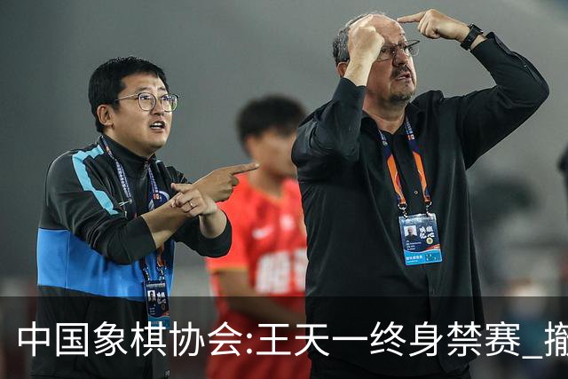 中国象棋协会:王天一终身禁赛 撤销特大等称号